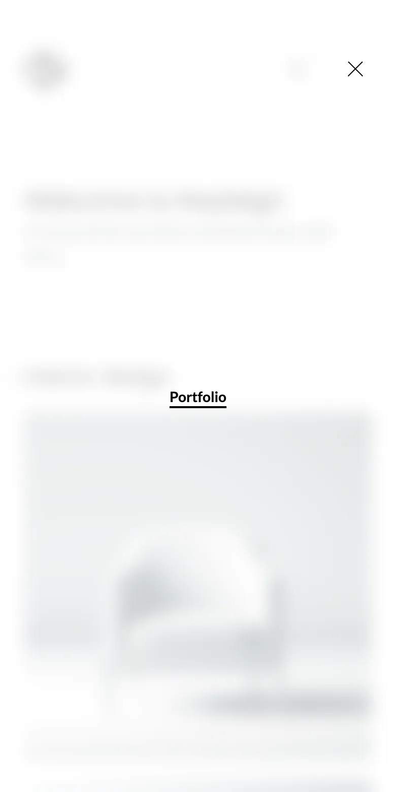 Rayleigh on a phone with the menu open over a blurred page